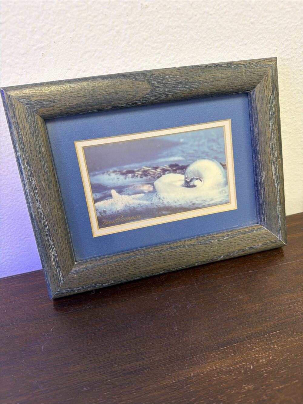 Dani Richards Signed Coastal Art Photo Framed Starfish Nautilus Shell 9x7
